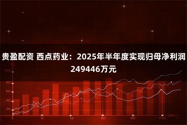 贵盈配资 西点药业：2025年半年度实现归母净利润249446万元