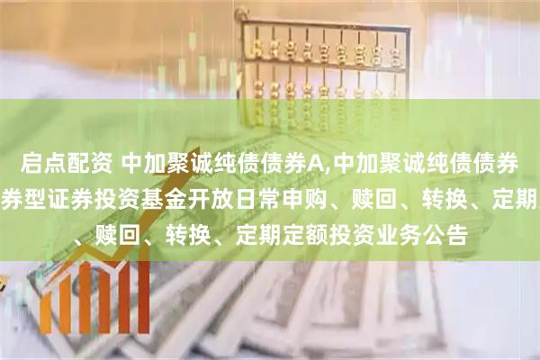 启点配资 中加聚诚纯债债券A,中加聚诚纯债债券C 中加聚诚纯债债券型证券投资基金开放日常申购、赎回、转换、定期定额投资业务公告