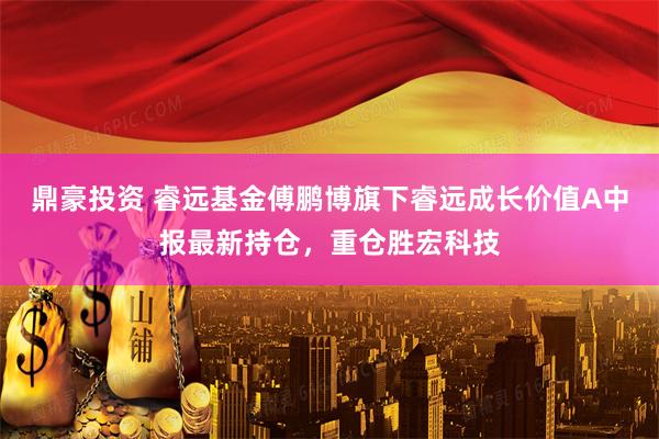 鼎豪投资 睿远基金傅鹏博旗下睿远成长价值A中报最新持仓，重仓胜宏科技