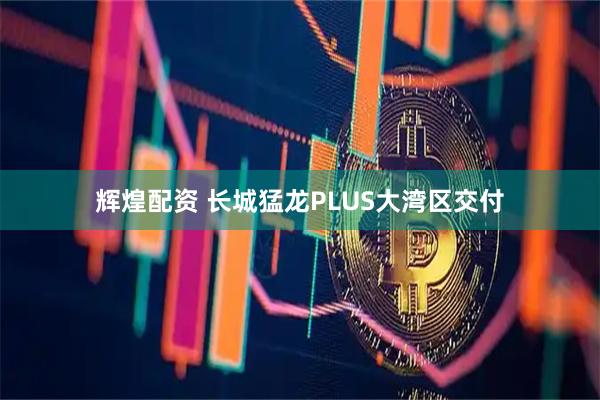 辉煌配资 长城猛龙PLUS大湾区交付